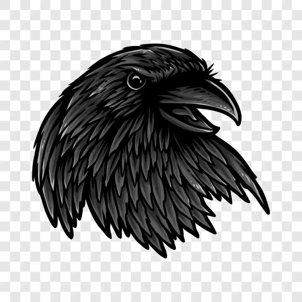 Black Crow Head llustration PNG