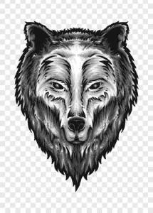 Wolf Head Illustration PNG