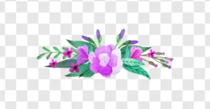botanical flower illustration png