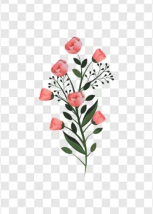delicate blooming flowers png