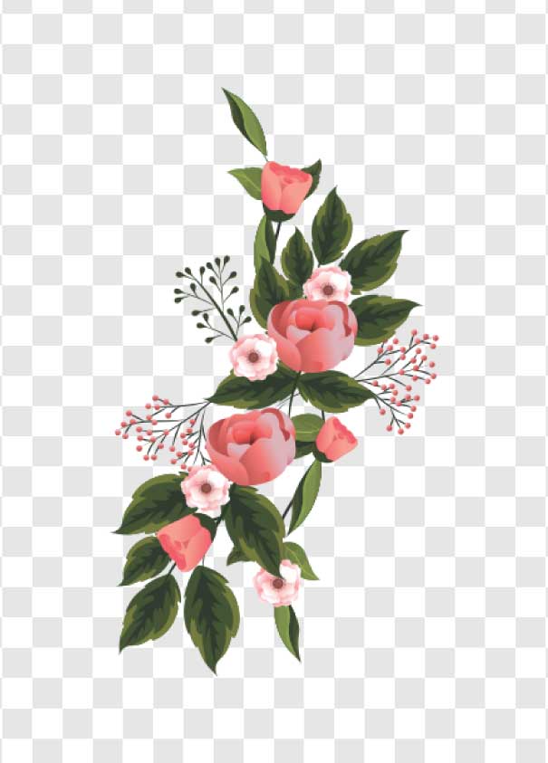 elegant pink roses png