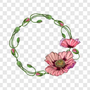 elegant poppy frame png