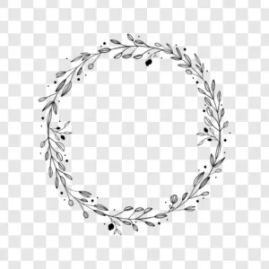 hand drawn botanical frame png