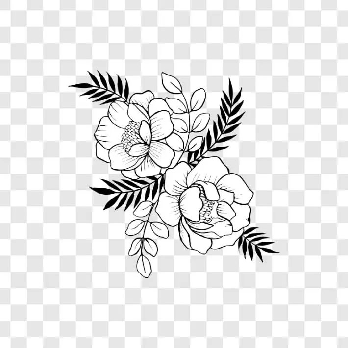 handdrawing flower png