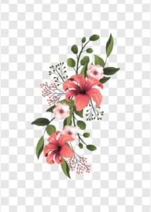 hibiscus flower arrangement png
