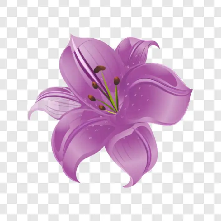 purple tiger lily png transparent