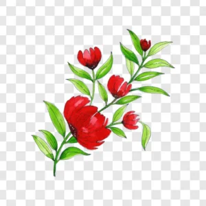 red flower art png