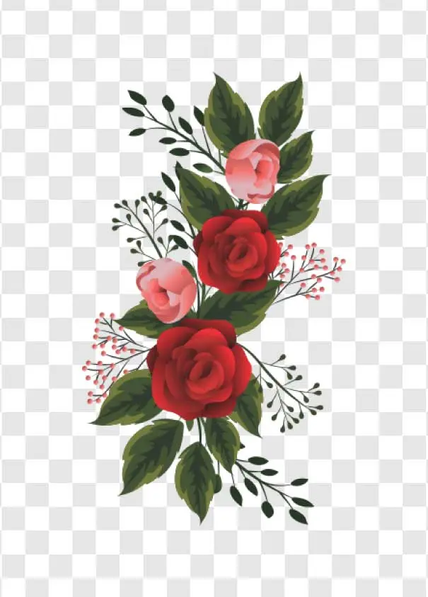 red rose bouquet illustration png