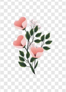 romantic heart blossoms png