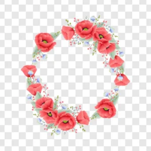 romantic red poppy ring png