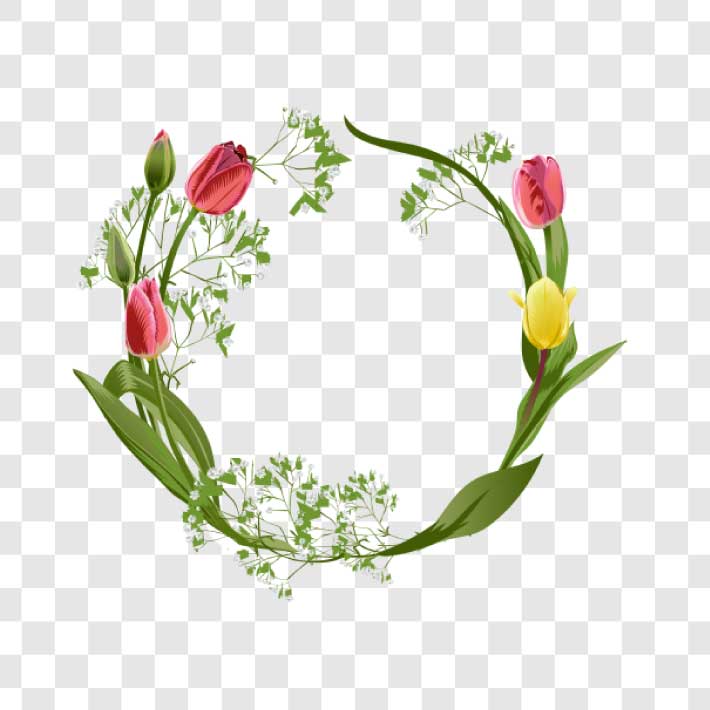 spring tulip frame png