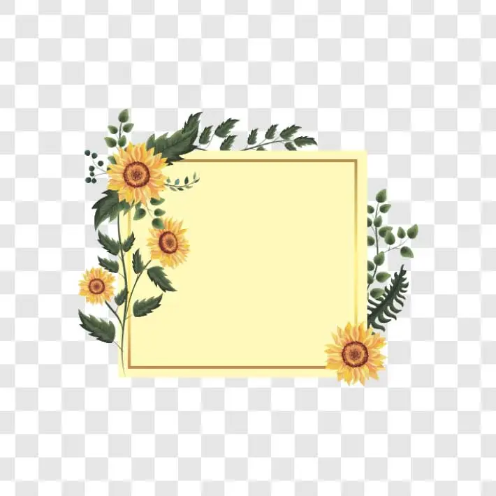 sunflower with frames png
