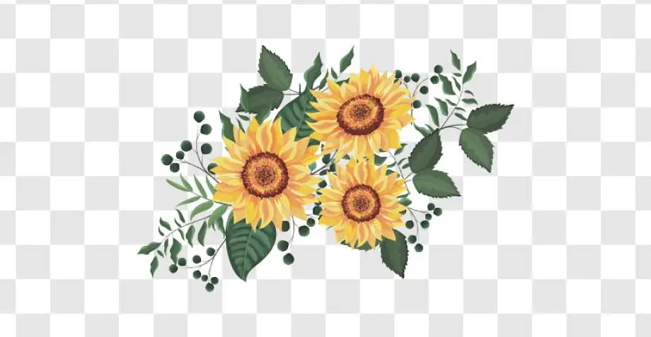 three sunflower with leaves png