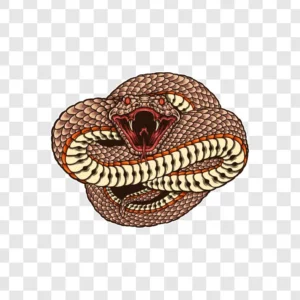 png illustration of angry snake