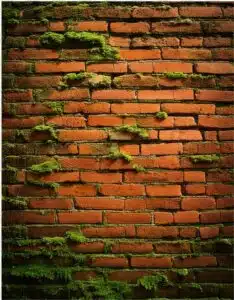 red brick wall background full of moss