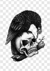 skull crow png
