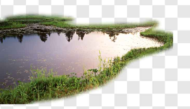 lake view tranparent