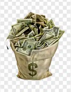 money in the bag png
