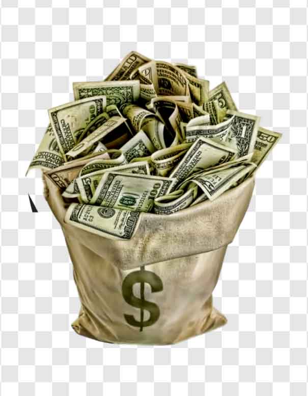 money in the bag png