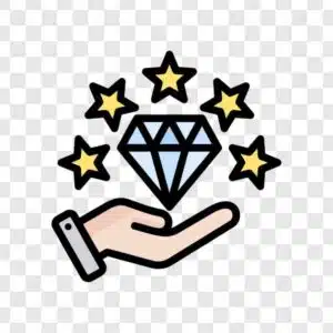 values icon