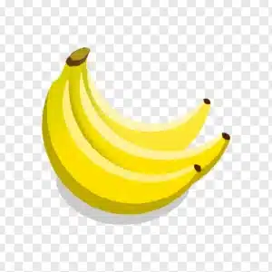 banana ilustration png free