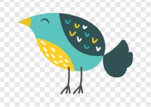 bird ilustration png free