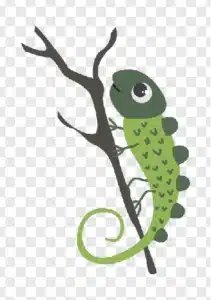 chameleon ilustration png free
