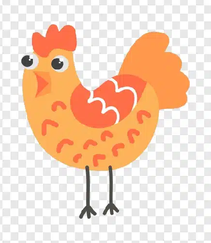 chicken ilustration png free