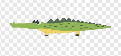 crocodile ilustration png free