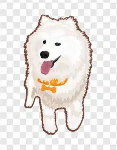 cute white dog illustration