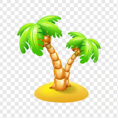 illustration of a beach palm tree