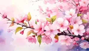 japanese sakura blossom illustration