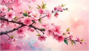japanese and sakura scene illustration