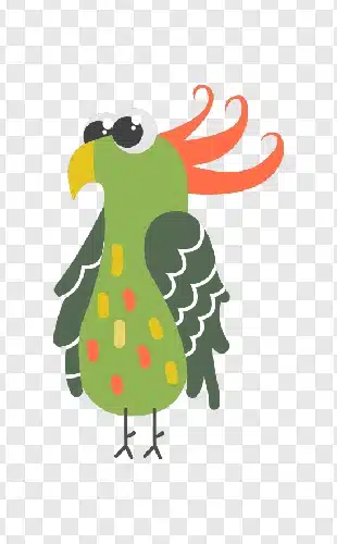 parrot ilustration png free