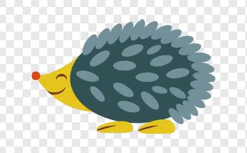 porcupine ilustration png free