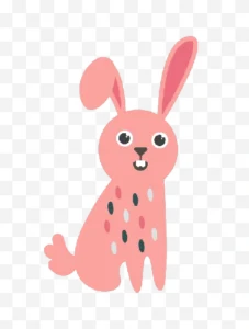 rabbit illustration png