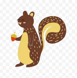 squirrel illustration png