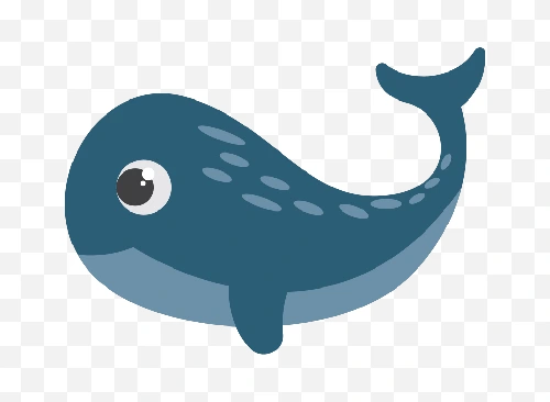 whale illustration png