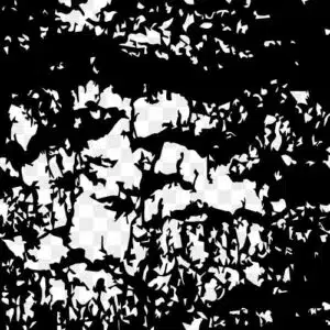 abstract vector texture