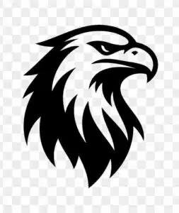angry eagle illustration