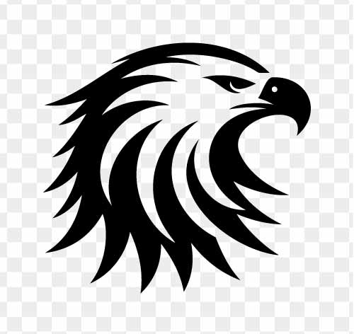 fierce eagle icon