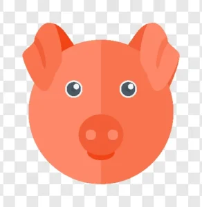 pig illustration icon
