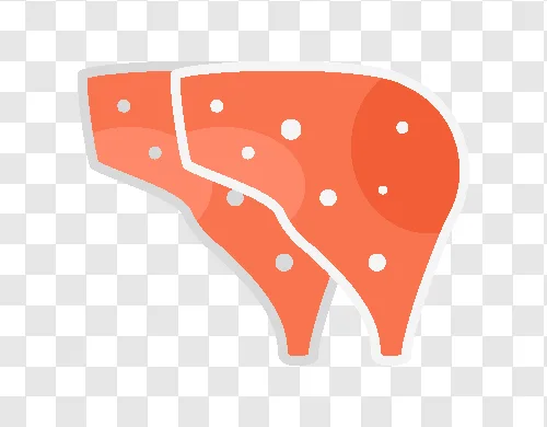 pork illustration icon