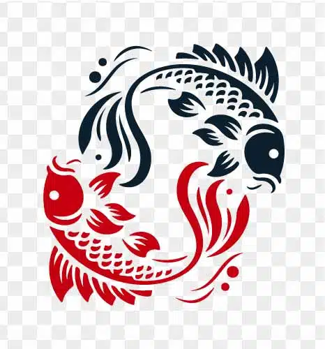 red and black koi fish illustration