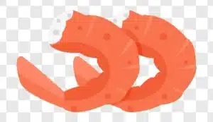 shrimp illustration icon