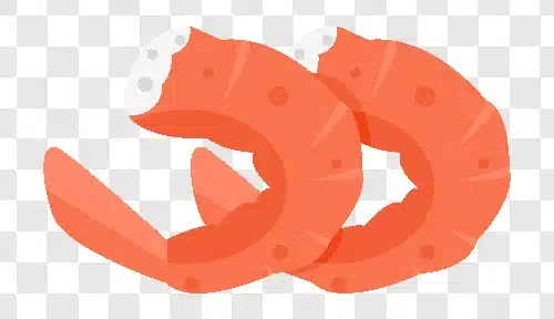 shrimp illustration icon