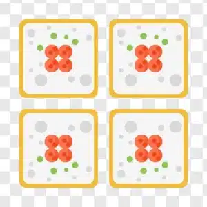 sushi sashimi illustration icon