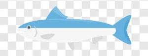 tuna illustration icon