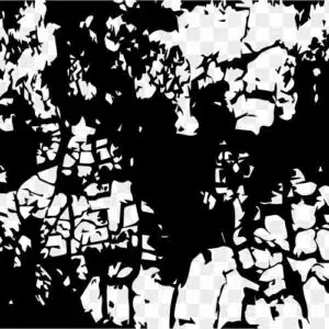 wall texture black