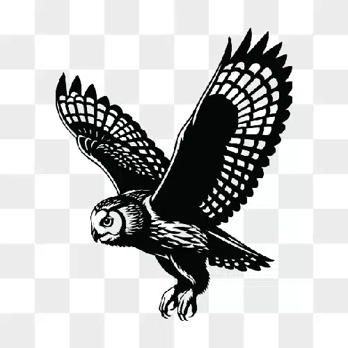 a black and white illustration of a barn owl in flight with its wings spread wide